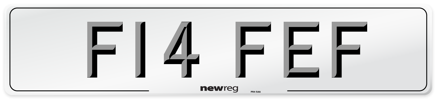 F14 FEF Number Plate from New Reg